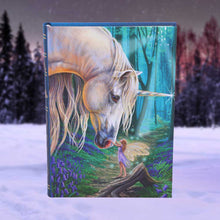 Load image into Gallery viewer, Fairy Whispers Journal by Lisa Parker 17cm
