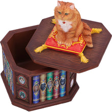Load image into Gallery viewer, Mad About Cats Box by Lisa Parker 16.5cm
