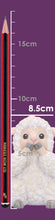 Load image into Gallery viewer, Three Wise Sheep
