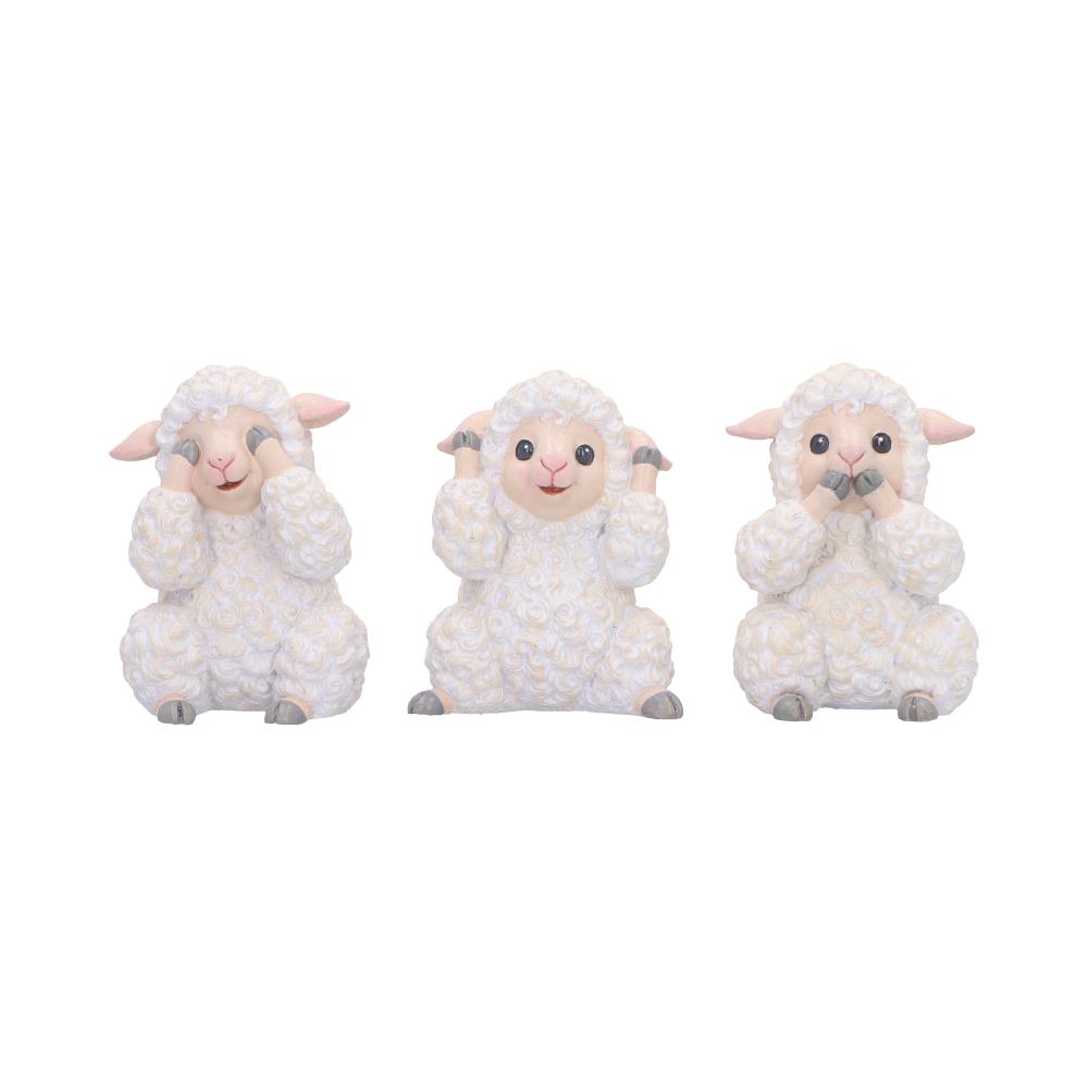 Three Wise Sheep