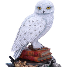 Load image into Gallery viewer, Harry Potter Hedwig Figurine 22cm
