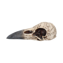 Load image into Gallery viewer, Edgar&#39;s Raven Skull 21cm
