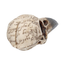 Load image into Gallery viewer, Edgar&#39;s Raven Skull 21cm
