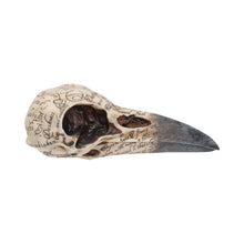 Load image into Gallery viewer, Edgar&#39;s Raven Skull 21cm
